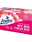 Linteo Paper Tissues Two-ply Paper 200 pcs per box papírové kapesníky 200 ks