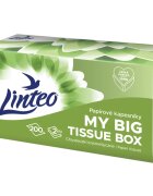 Linteo Paper Tissues Two-ply Paper 200 pcs per box papírové kapesníky 200 ks