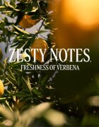L’Occitane Verveine Agrumes toaletní voda pro ženy 75 ml