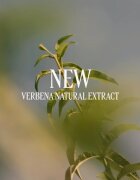 L’Occitane Verveine Perfumed Body Lotion tělové mléko pro ženy 250 ml