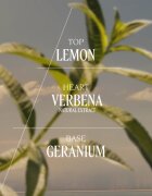 L’Occitane Verveine toaletní voda pro ženy 75 ml