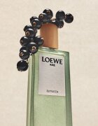Loewe Aire Sutileza toaletní voda pro ženy 50 ml