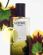 Loewe Esencia Elixir parfém pro muže 50 ml