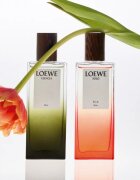 Loewe Esencia Elixir parfém pro muže 50 ml