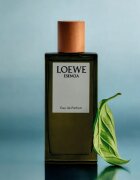 Loewe Esencia parfémovaná voda pro muže 50 ml