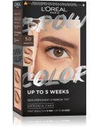 L’Oréal Paris Brow Color barva na obočí odstín 5.0 Brunette 1 ks