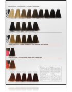 L’Oréal Professionnel Inoa ODS2 barva na vlasy odstín 10.12 Lightest Ash Iridescent Blonde 60 g