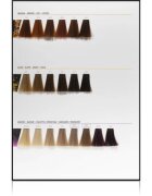 L’Oréal Professionnel Inoa ODS2 barva na vlasy odstín 10.12 Lightest Ash Iridescent Blonde 60 g