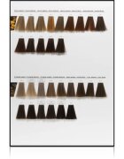 L’Oréal Professionnel Inoa ODS2 barva na vlasy odstín 10.12 Lightest Ash Iridescent Blonde 60 g