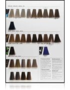 L’Oréal Professionnel Inoa ODS2 barva na vlasy odstín 10.12 Lightest Ash Iridescent Blonde 60 g