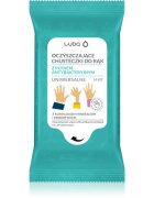 Luba Antibacterial Wet Wipes vlhčené čisticí ubrousky na ruce 15 ks