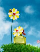 Marc Jacobs Daisy Murakami parfémovaná voda pro ženy 50 ml
