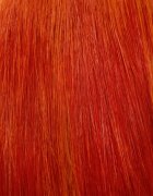 Maria Nila Colour Refresh Bright Copper jemná vyživující maska bez permanentních barevných pigmentů výdrž 4 – 10 umytí 7.40 300 ml