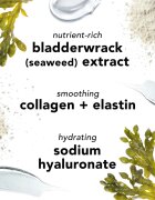 Mario Badescu Seaweed Night Cream noční hydratační krém s minerály 28 g