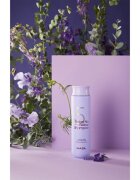 MASIL 5 Salon No Yellow fialový šampon neutralizující žluté tóny 300 ml
