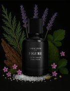Miraculum Noir Majesty Figure parfémovaná voda pro muže 50 ml