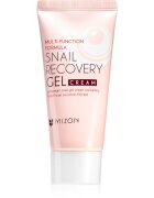 Mizon Multi Function Formula Snail pleťový gel s hlemýždím extraktem 45 ml