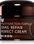 Mizon Multi Function Formula Snail pleťový krém s filtrátem hlemýždího sekretu 60% 50 ml