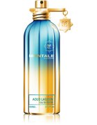 Montale Aoud Lagoon parfémovaná voda unisex 100 ml
