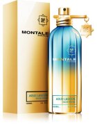Montale Aoud Lagoon parfémovaná voda unisex 100 ml