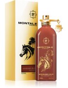 Montale Arabians Musk parfémovaná voda unisex 100 ml