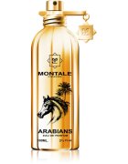 Montale Arabians parfémovaná voda unisex 100 ml