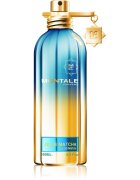 Montale Blue Matcha parfémovaná voda unisex 100 ml