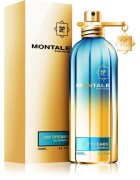 Montale Day Dreams parfémovaná voda unisex 100 ml
