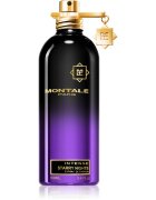 Montale Intense Starry Nights parfémový extrakt unisex 100 ml