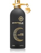 Montale Oud Dream parfémovaná voda unisex 100 ml