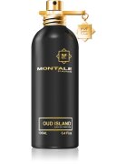 Montale Oud Island parfémovaná voda unisex 100 ml