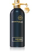 Montale Oudyssee parfémovaná voda unisex 100 ml