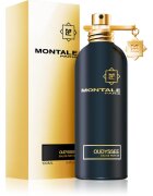 Montale Oudyssee parfémovaná voda unisex 100 ml