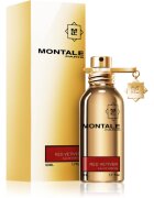 Montale Red Vetiver parfémovaná voda pro muže 50 ml