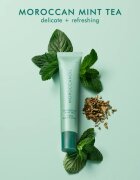 Moroccanoil Lip Balm balzám na rty odstín Moroccan Mint Tea 15 g