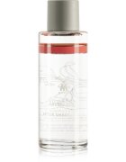 Mühle After Shave Lotion Grapefruit & Mint voda po holení pro muže 125 ml