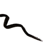Naj Oleari Impeccable Eyeliner tekuté oční linky pro ženy 01 Vinyl Black 4 ml