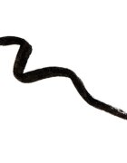 Naj Oleari One Touch Pen Eyeliner oční linky v peru pro ženy 1 ml