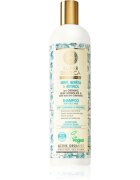 Natura Siberica Mint Bereza & Retinol šampon pro mastné vlasy 400 ml