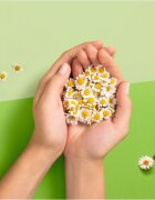 Naturella Normal Plus vložky 18 ks
