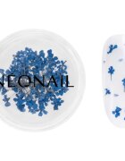 NEONAIL Dried Flowers sušený květ na nehty odstín 04 Navy 1 ks