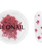 NEONAIL Dried Flowers sušený květ na nehty odstín 08 Red 1 ks