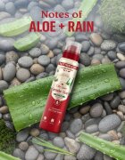 Old Spice Gentle Man's Aloe & Rain deodorant ve spreji bez obsahu hliníku 140 ml