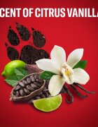 Old Spice Nightpanther tuhý deodorant pro muže 50 ml