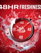 Old Spice Whitewater tuhý deodorant pro muže 85 ml