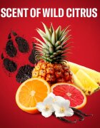 Old Spice Wolfthorn After Shave voda po holení pro muže 100 ml
