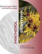 Olival Hamamelis šampon pro mastnou vlasovou pokožku 250 ml