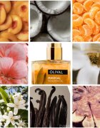 Olival Magical Gloden Oil multifunkční suchý olej se třpytkami na tvář tělo a vlasy 50 ml