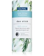 Olival Natural Tea Tree tuhý deodorant bez obsahu hliníkových solí 40 g