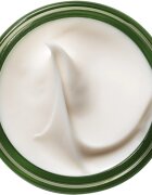 Origins A Perfect World™ Antioxidant Moisturizer With White Tea vyživující antioxidační krém 50 ml